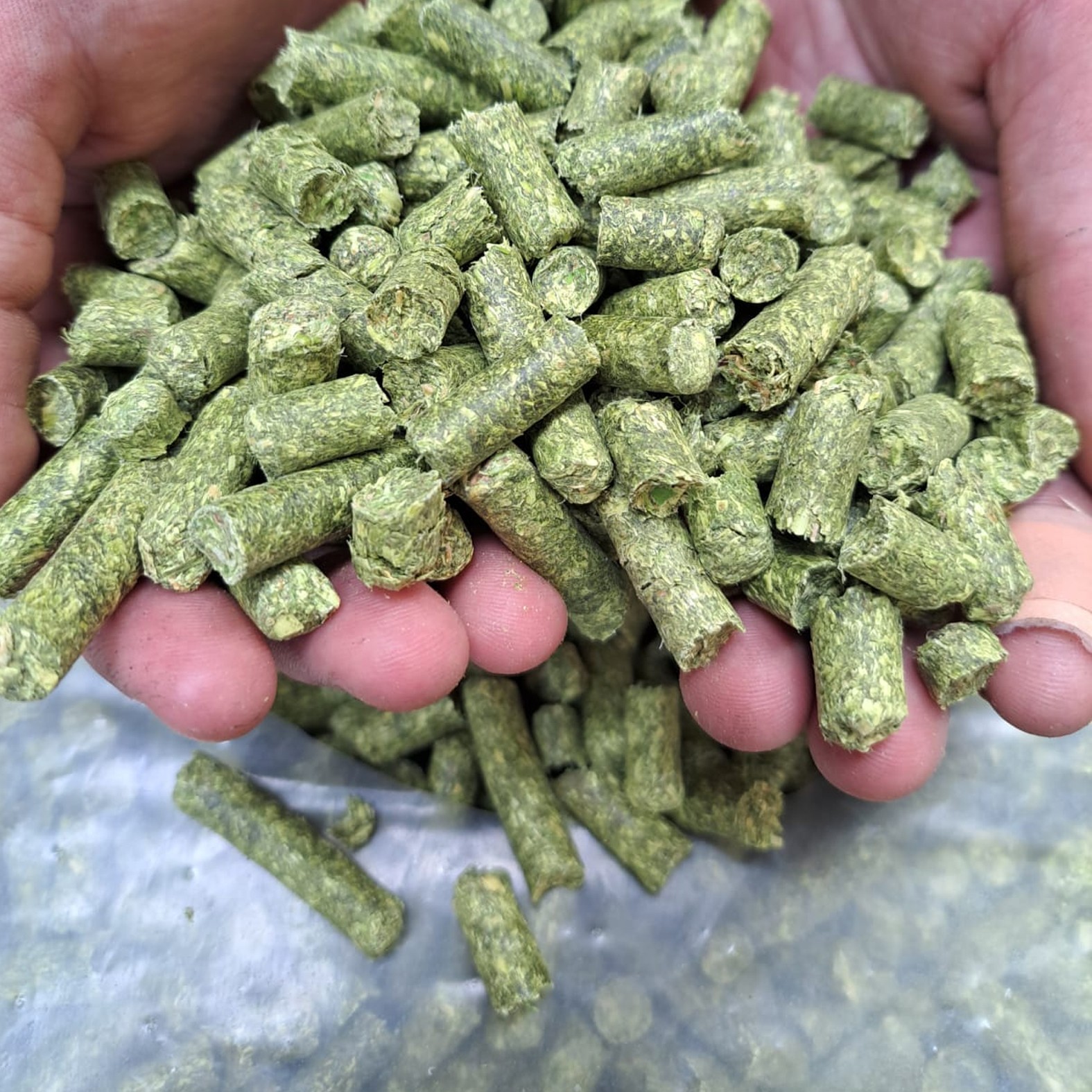 Luzerne-Pellets 15kg