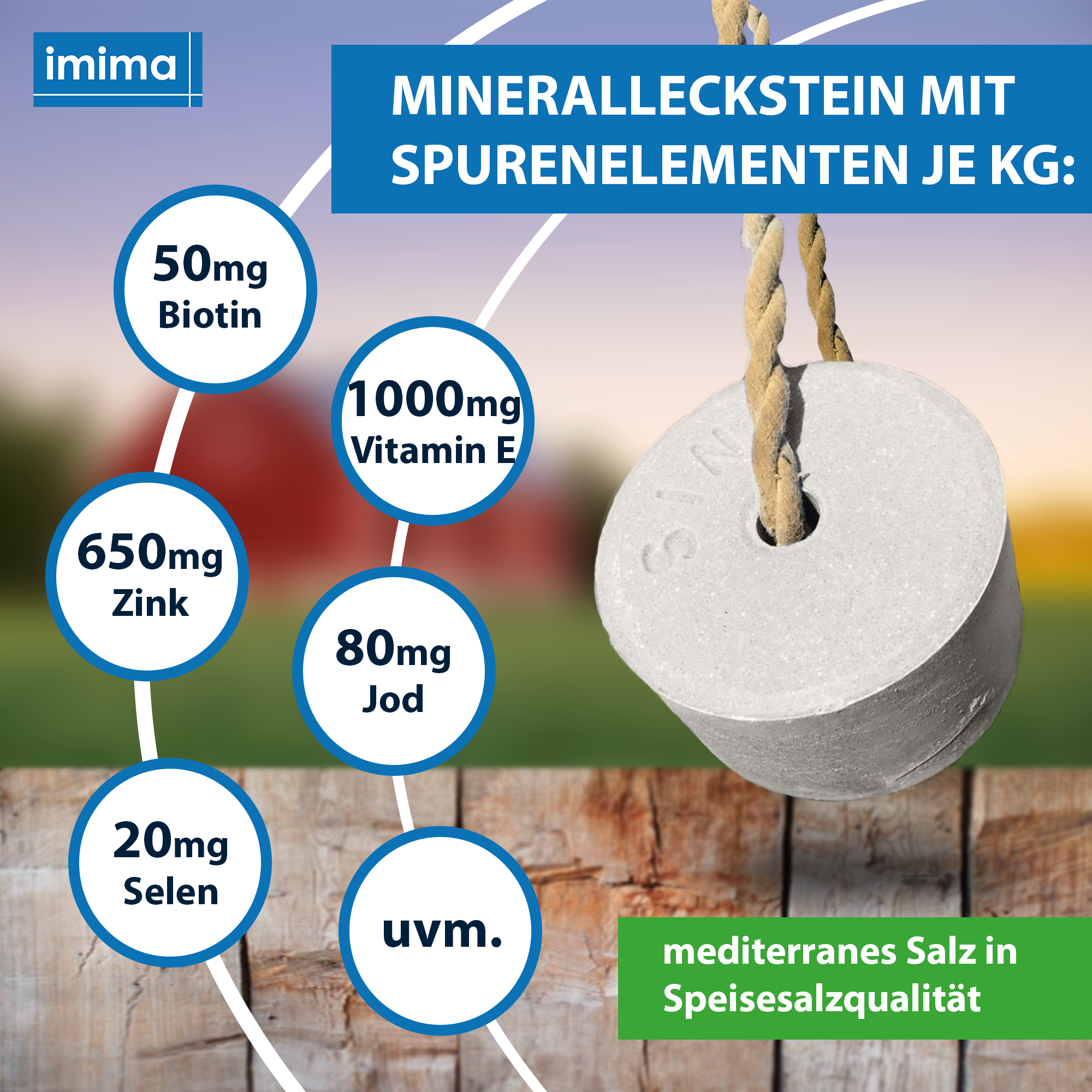 BIOTIN + plus Mineralleckstein, 3kg