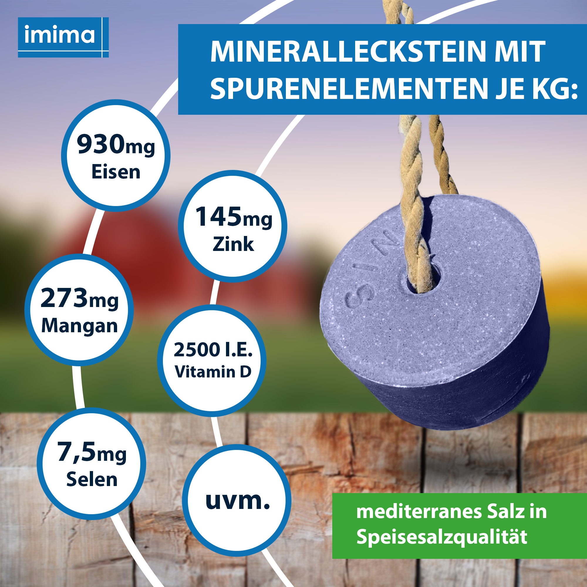 ANTI-INSECT Mineralleckstein, 3kg