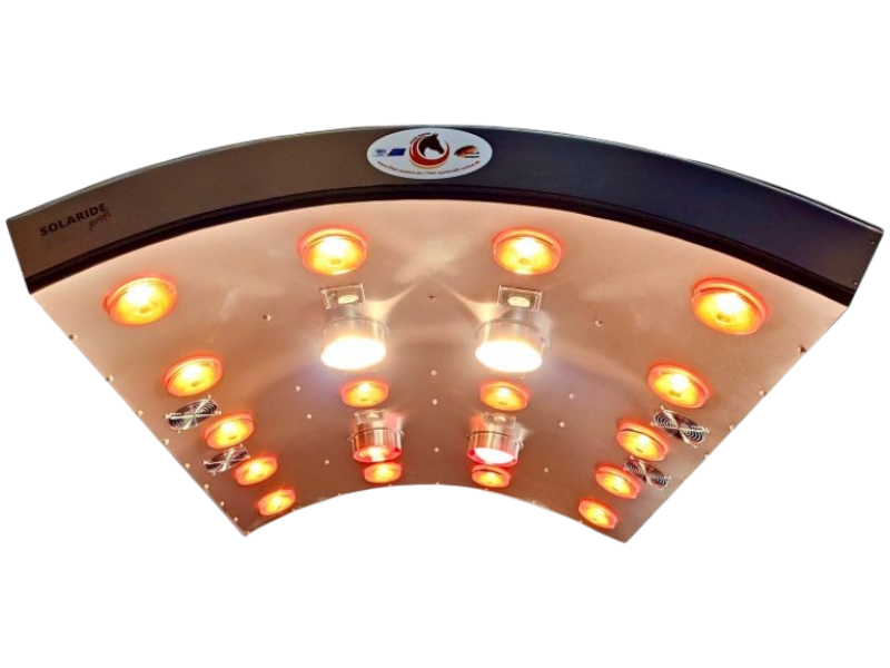 Solarium  PROFI Solarium  PROFI