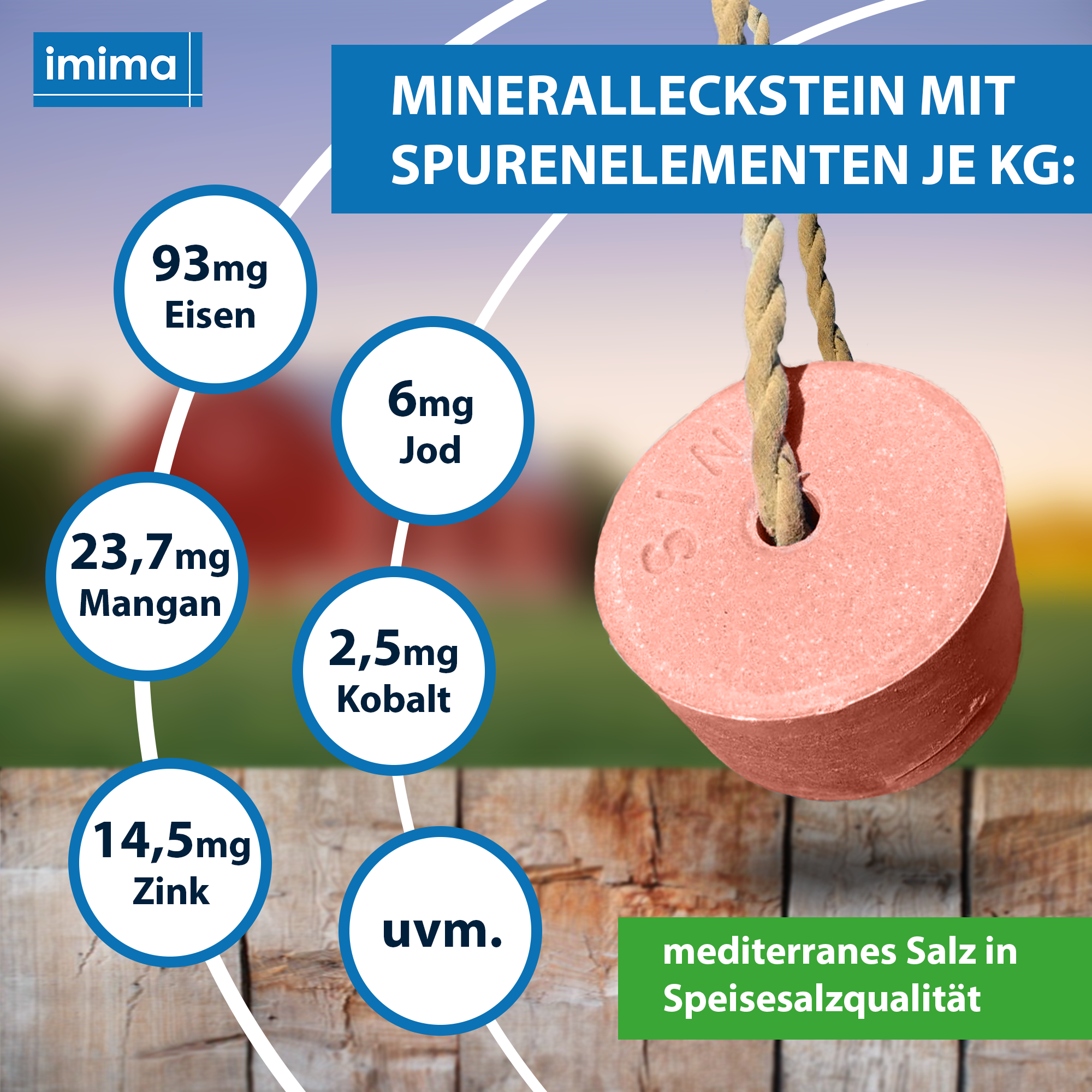 PREMIUMBLOCK Mineralleckstein, 3kg