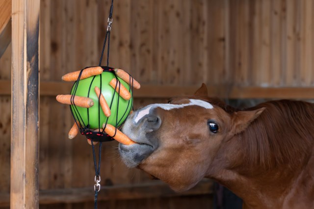 Therapiespielball für Pferde